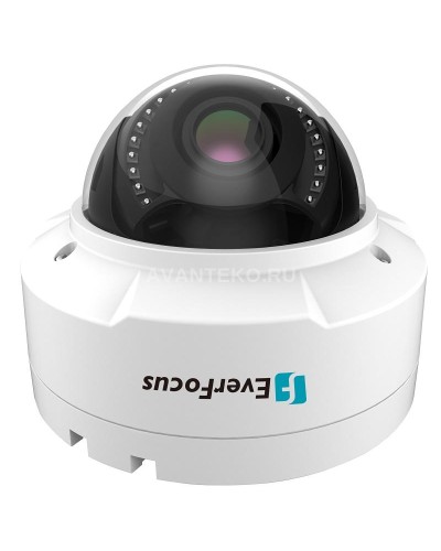 EHN-1250. Видеокамера IP купольная. EverFocus в Волгограде