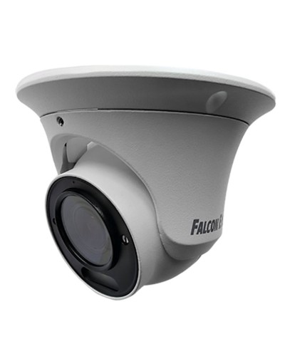 FE-IPC-DV2-40pa. Видеокамера IP купольная. Falcon EYE в Волгограде