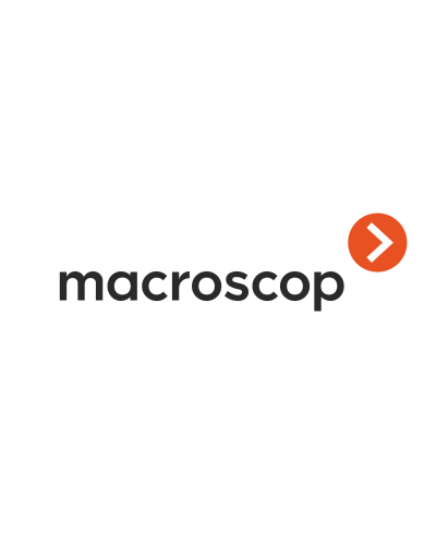 Расширение с LS до ST. Программное обеспечение (опция). MACROSCOP в Волгограде
