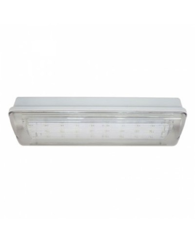 SL-213-30LED1.8 исп. 1 IP65. Светильник аварийного освещения. ИП Раченков А.В. в Волгограде